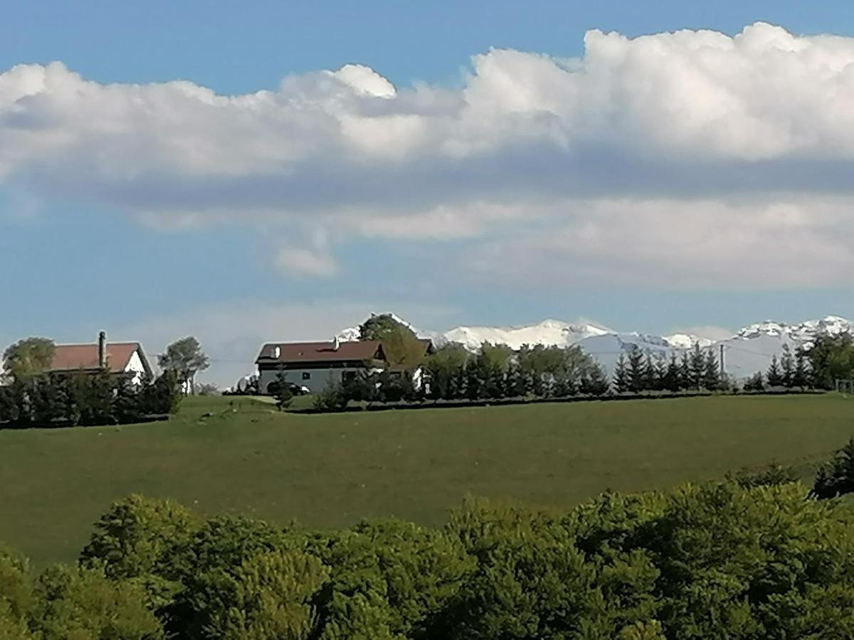 Conacul Elenei Villa Poiana Mărului Exterior foto